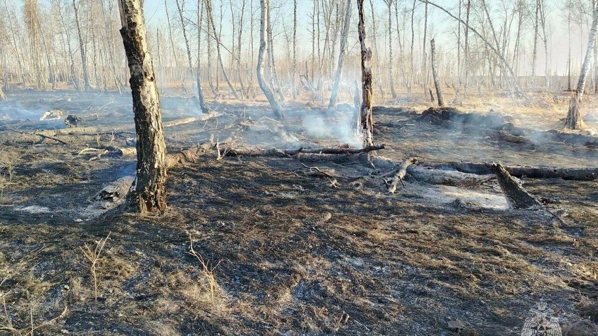     Источник: МЧС Челябинской области