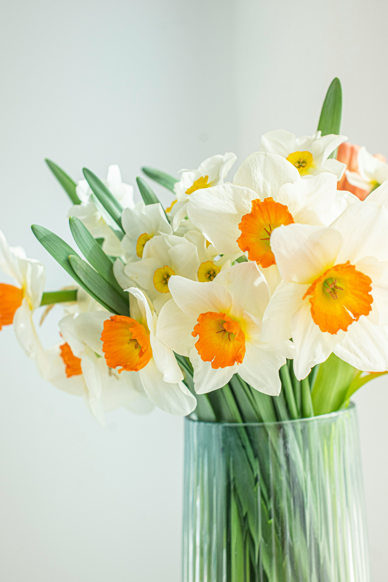 https://unsplash.com/s/photos/spring-flowers