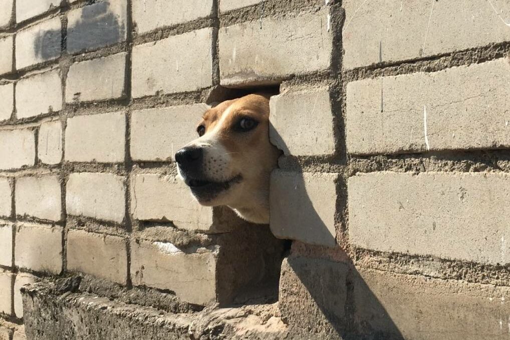    Фото: Сергей Ковалев