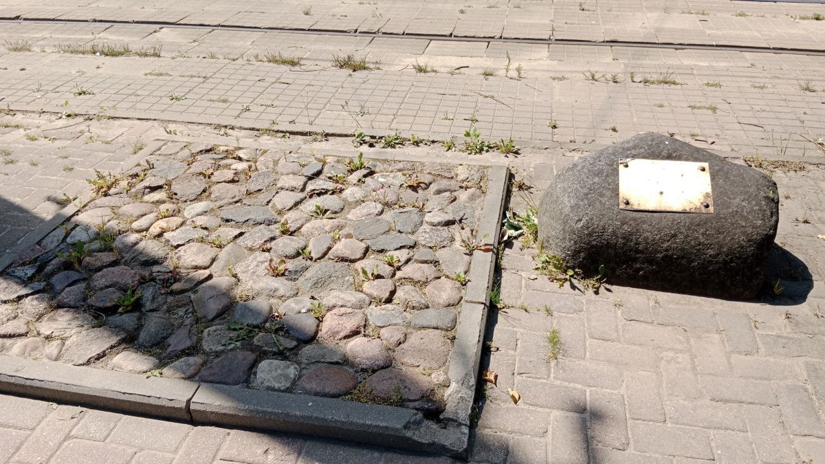 Июль 2024 года. Фото: smolnarod.ru📷
