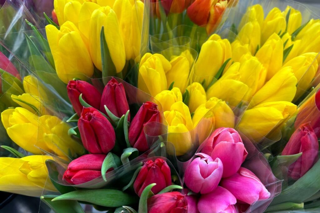    Фото: smolnarod.ru