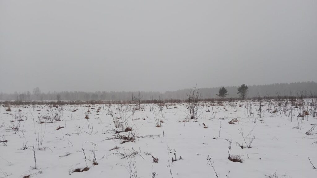    Фото: smolnarod.ru