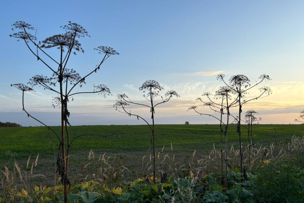    Фото: smolnarod.ru