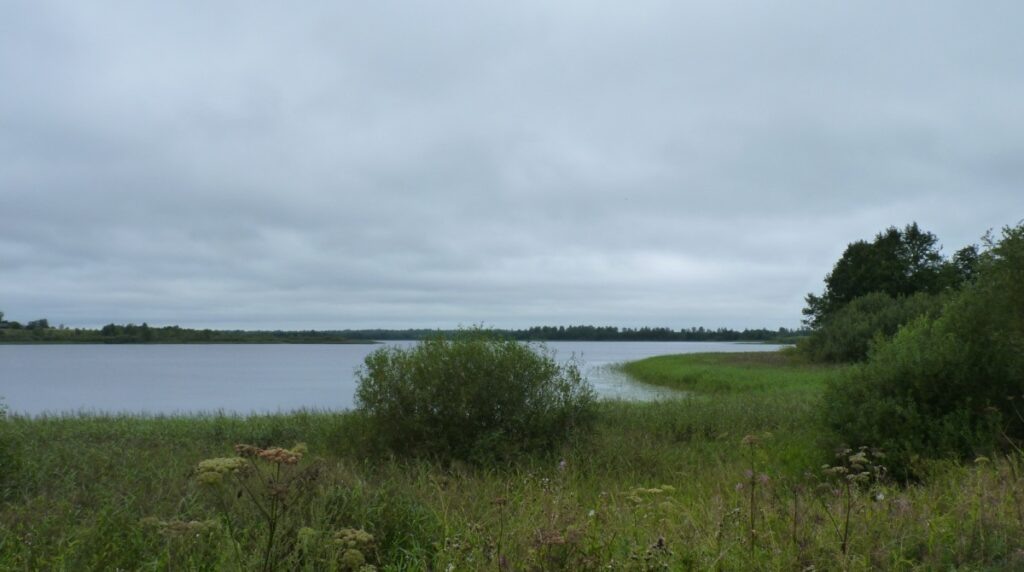    Фото: prirod.admin-smolensk.ru