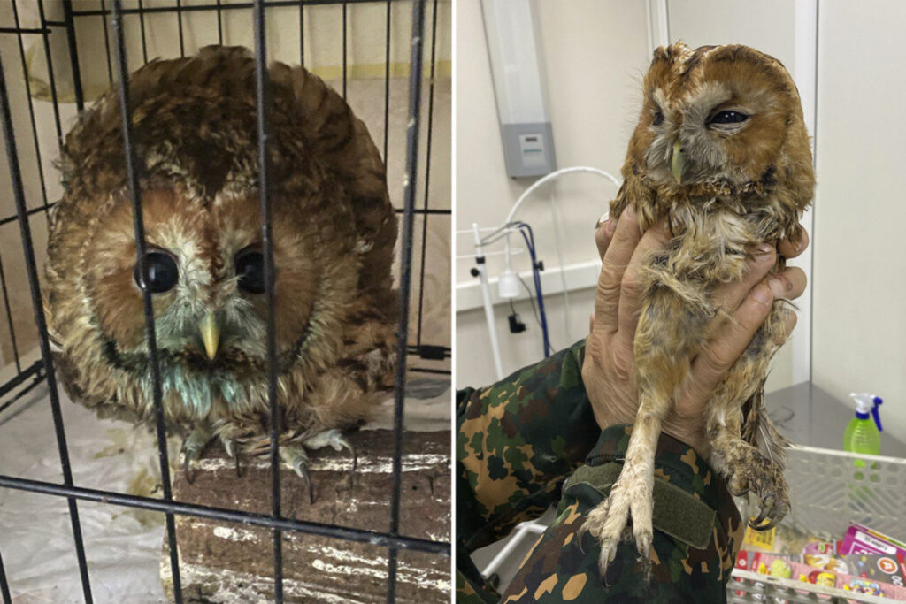    Фото: Яна Гамаюнова