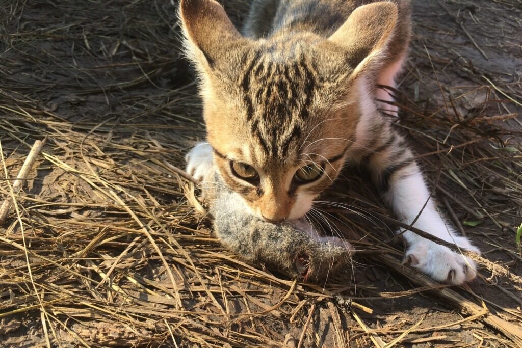    Фото: Сергей Ковалёв