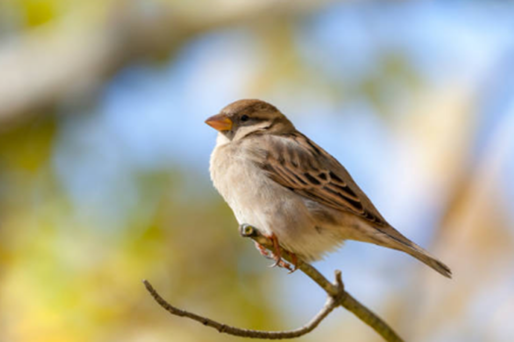    Фото: istockphoto.com