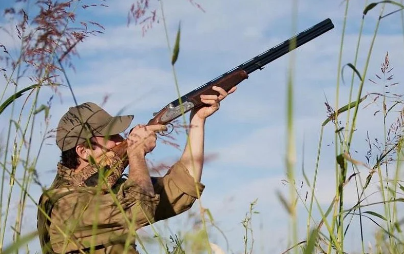 Весенняя охота на пернатую дичь