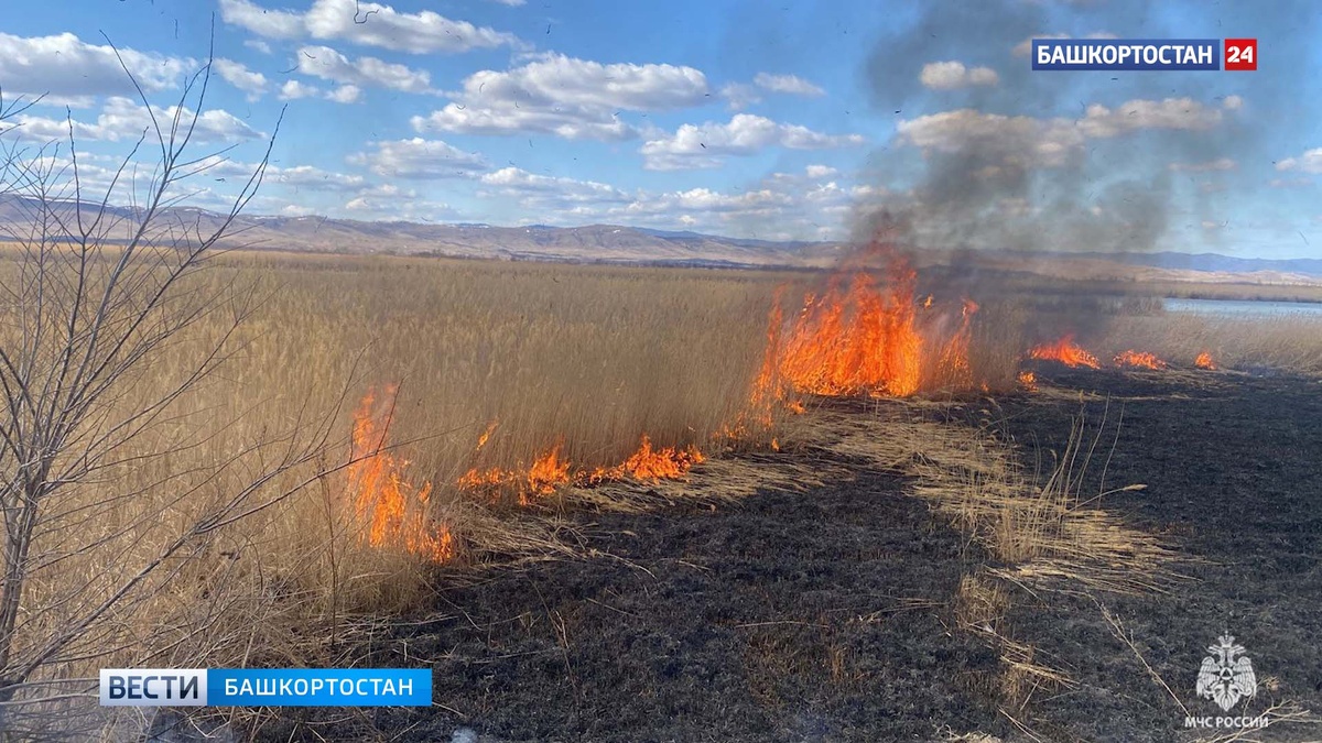    В Башкортостане за сутки случилось 9 возгораний сухой травы