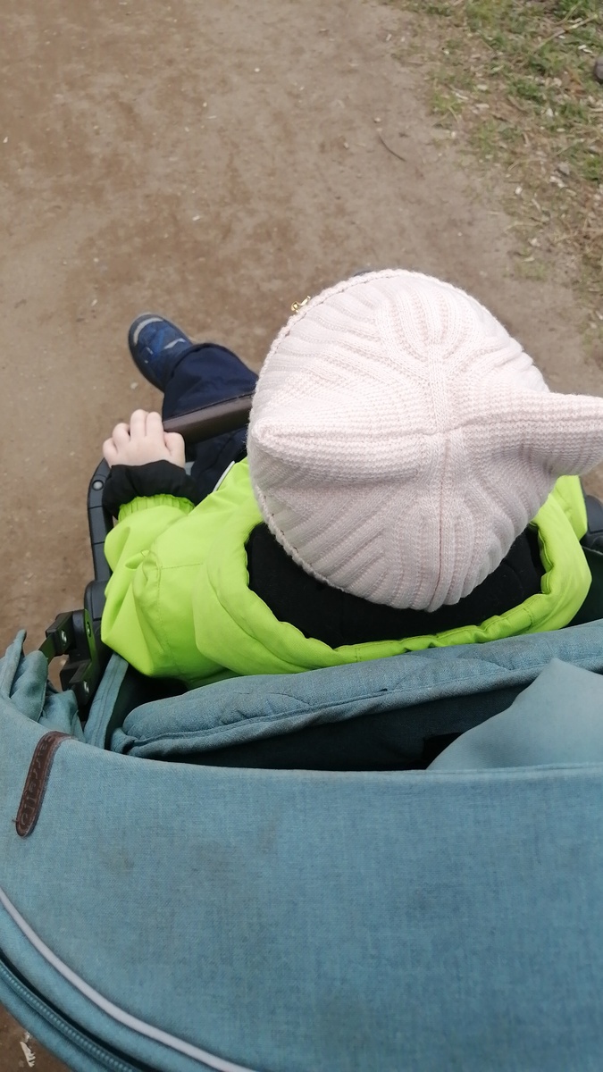 Едем гулять  да на качелях качаться. 