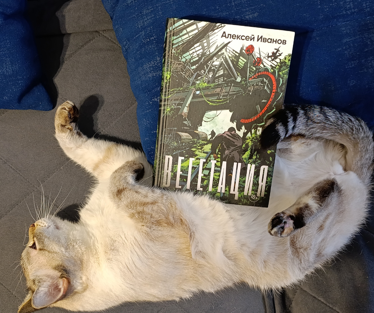 А на моем канале книгу презентует Дженька. 