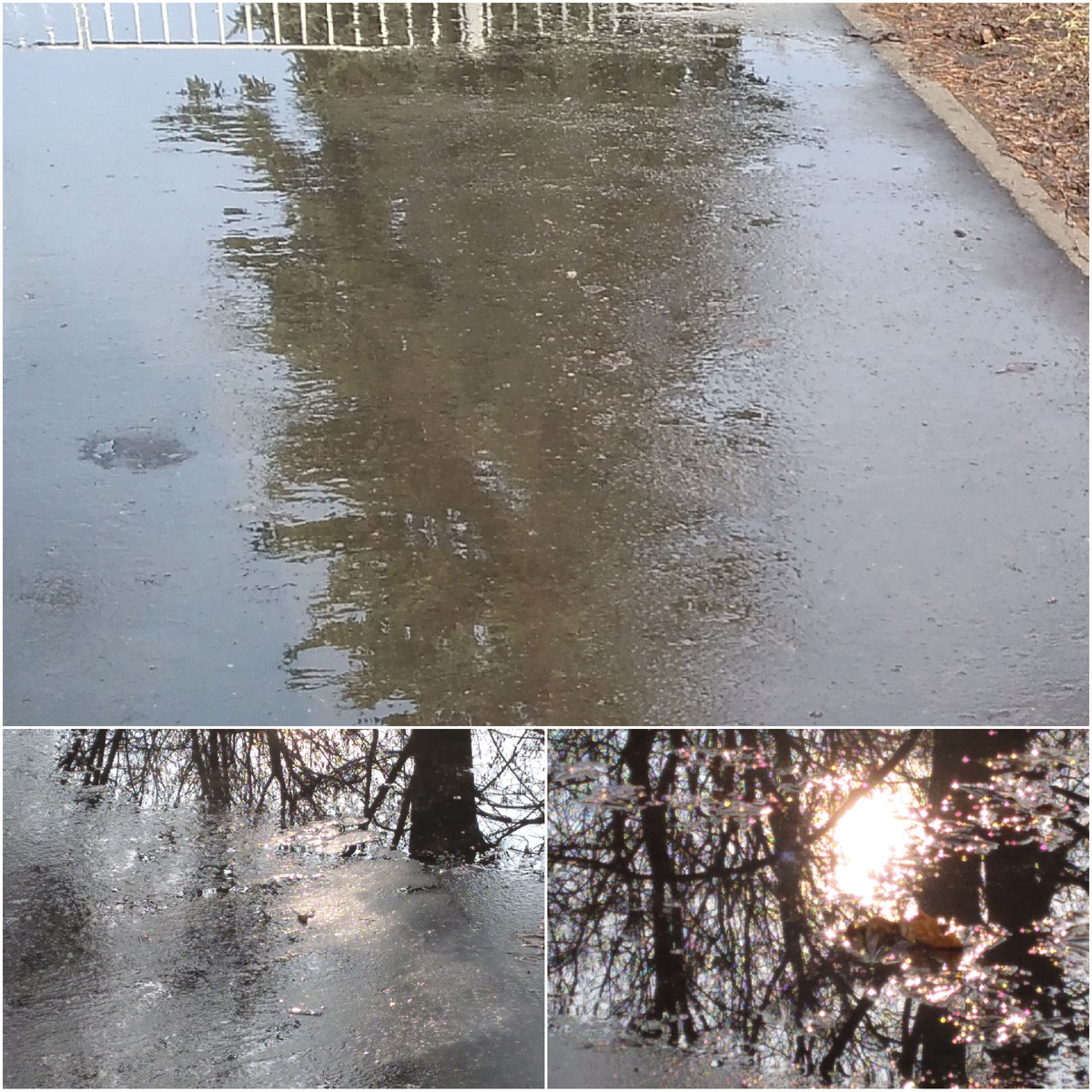 Отражения в лужицах.