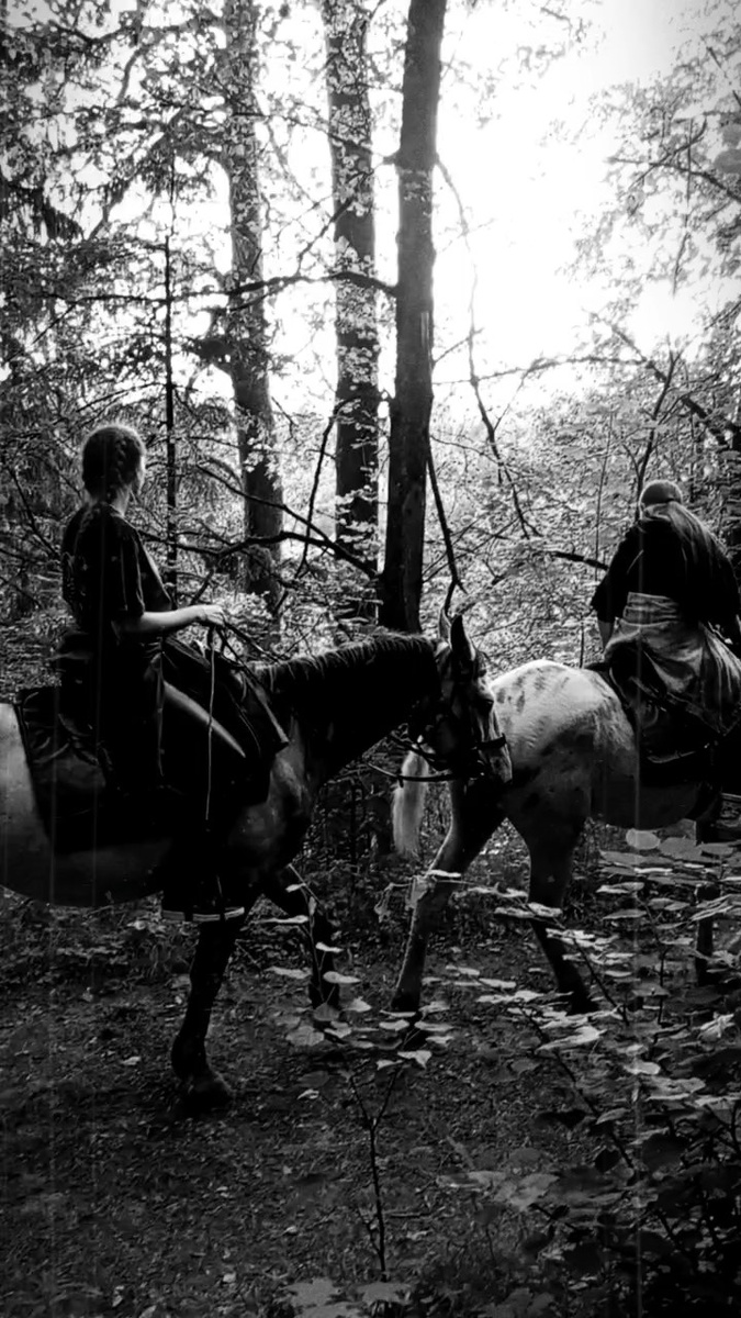 Фото автора. Лето 2024 год. 