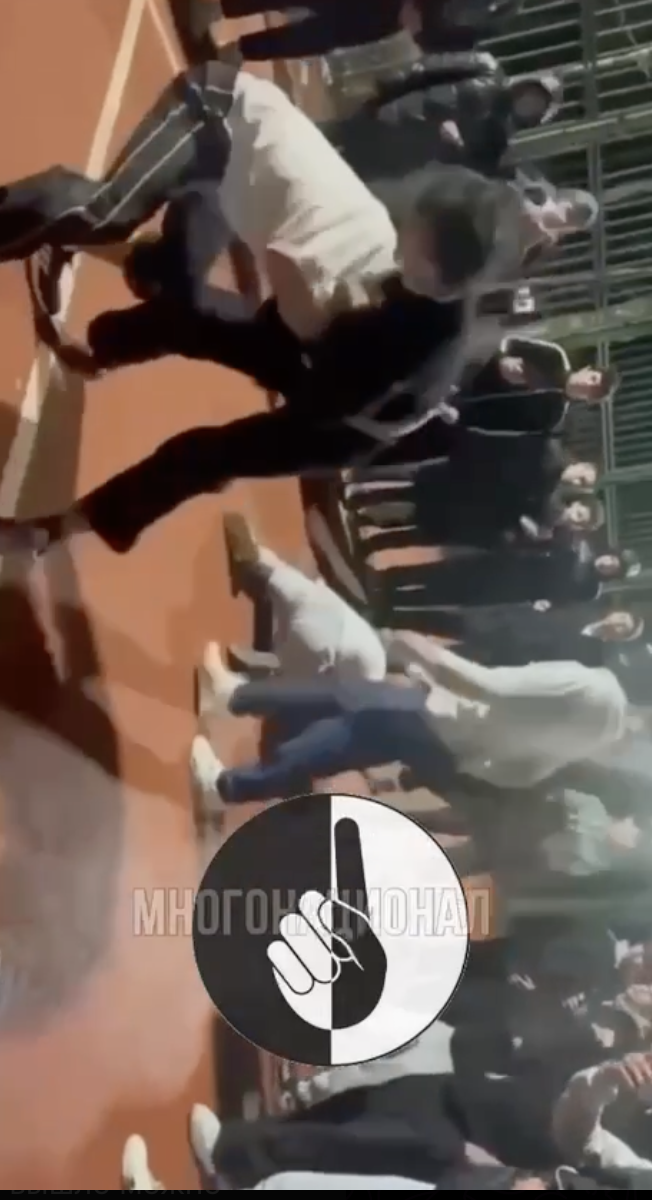    Скриншот: t.me/mnogonazi/23082