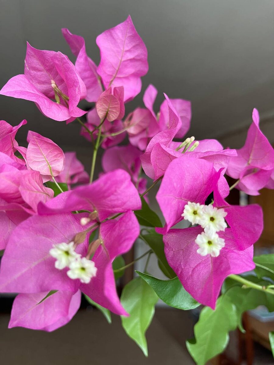 31 марта 2025 года. 