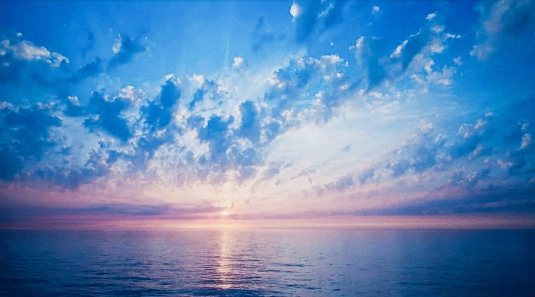 Фотоизображение взято из открытых интернет источников