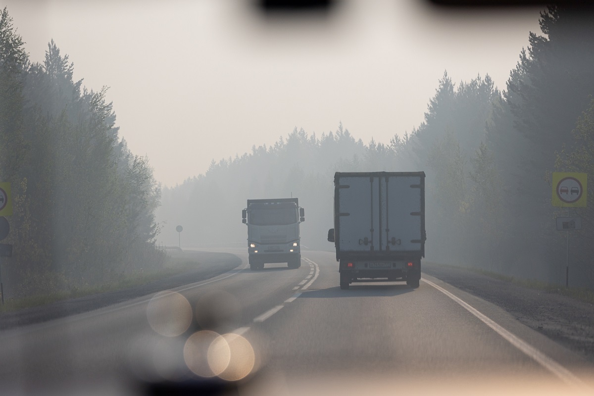 Руководитель региона отметил, что посещение лесов не запрещено.  Фото: Фото: ФедералПресс / Иван Кабанов