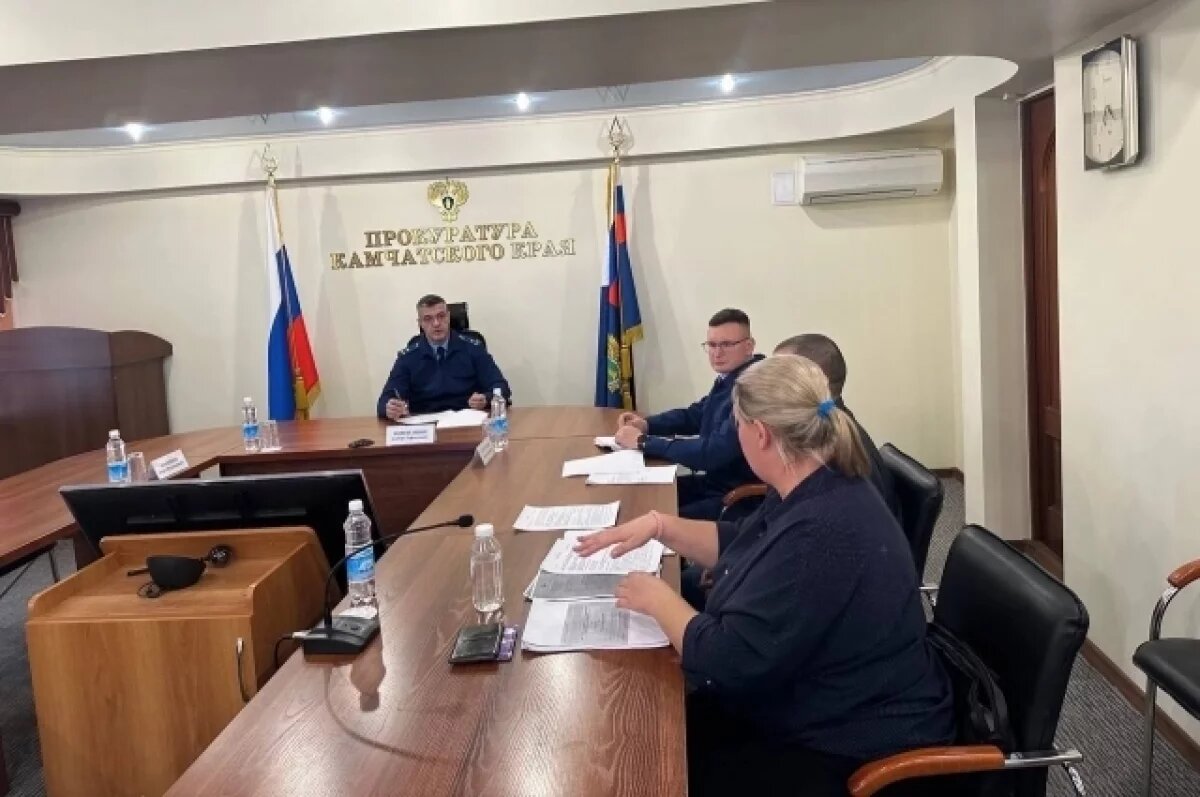    На Камчатке многодетной семье выделили участок практически на болоте