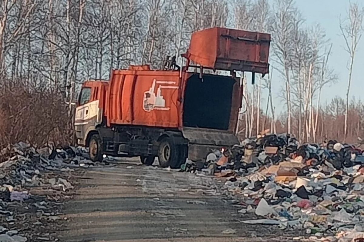    Мусорный оператор сваливает отходы на несанкционированной свалке.