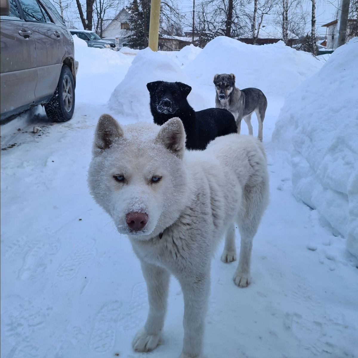 Первое его фото 2021 год