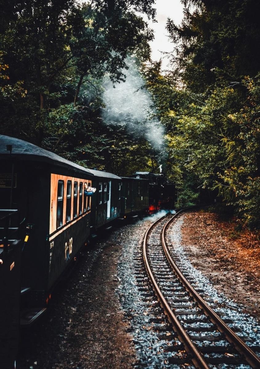 Фотоизображение взято из открытых интернет источников