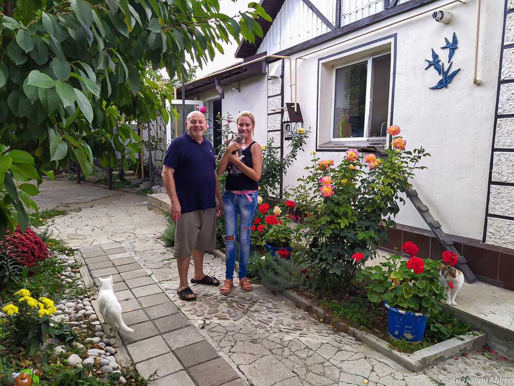 Октябрь 2020 г., я, Саша и кошечка Сева, которая переезжает в новый дом. Здесь видно, как волнуются мама Севы - Мамаша Че, а также бабушка - кошка Маруся.