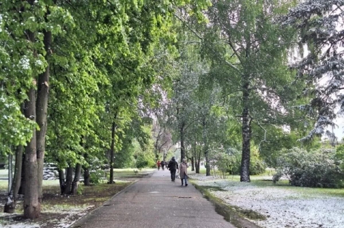    Май в Иркутске может оказаться холоднее, чем обычно.