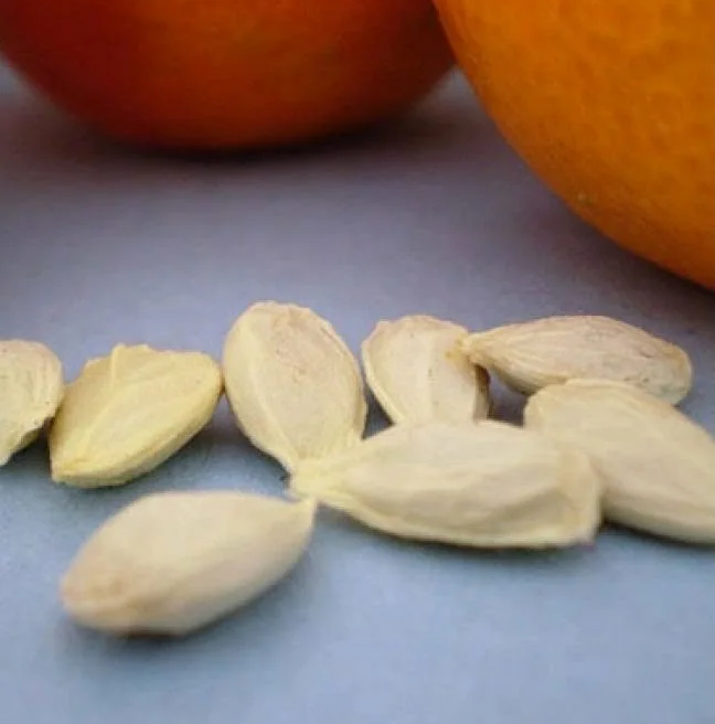 Использовал обычные косточки, взял штучек 10