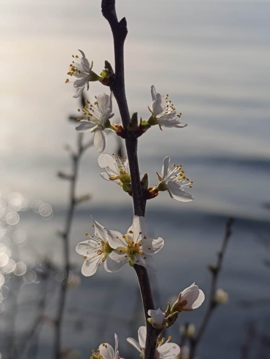 Это тоже для настроения...(фото Елены Ковалюк)