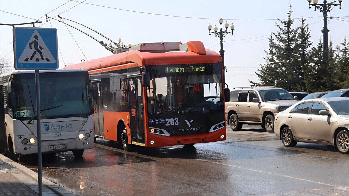     Источник: Администрация Хабаровска