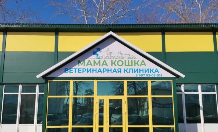    Фото: vk.com/mama_koshka_salavat