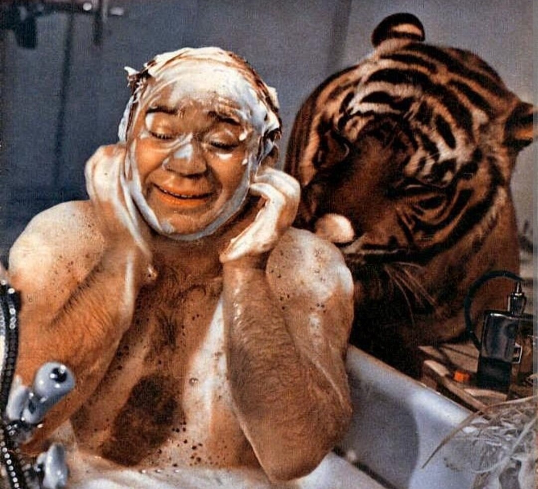 Полосатый рейс