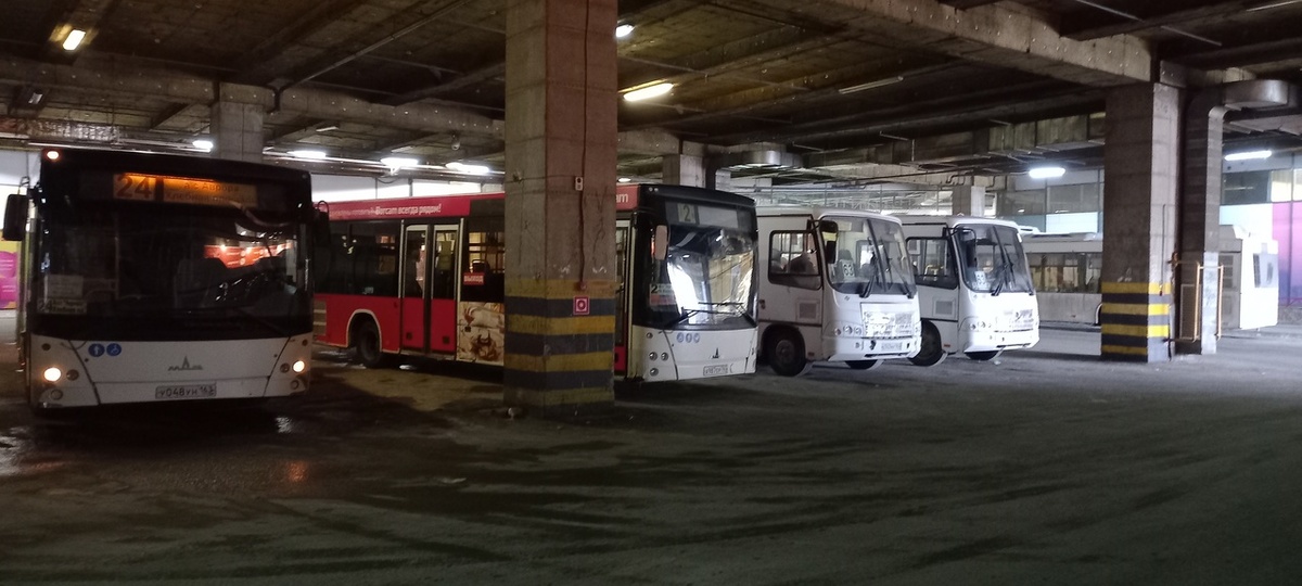    Фото: Дмитрий Павлов