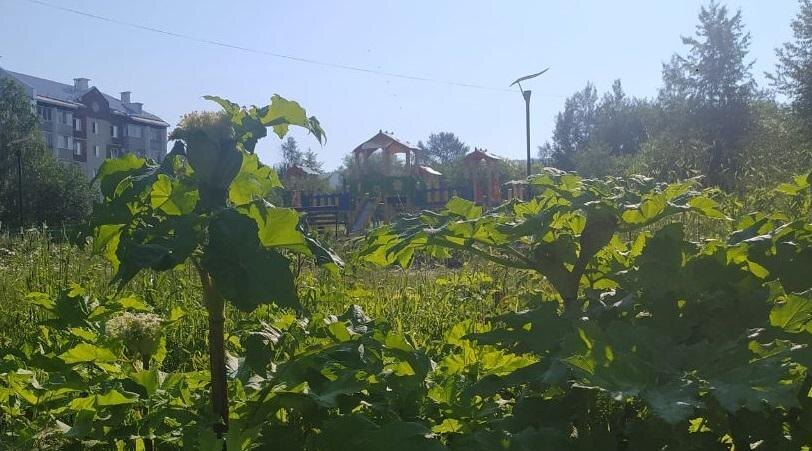    Фото: Сайт МедиаКУБ Ульяна Бажанова