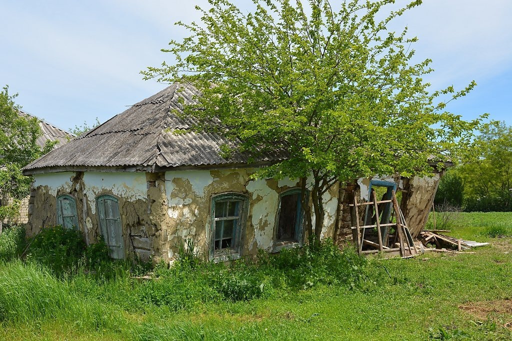 картинка из интернета