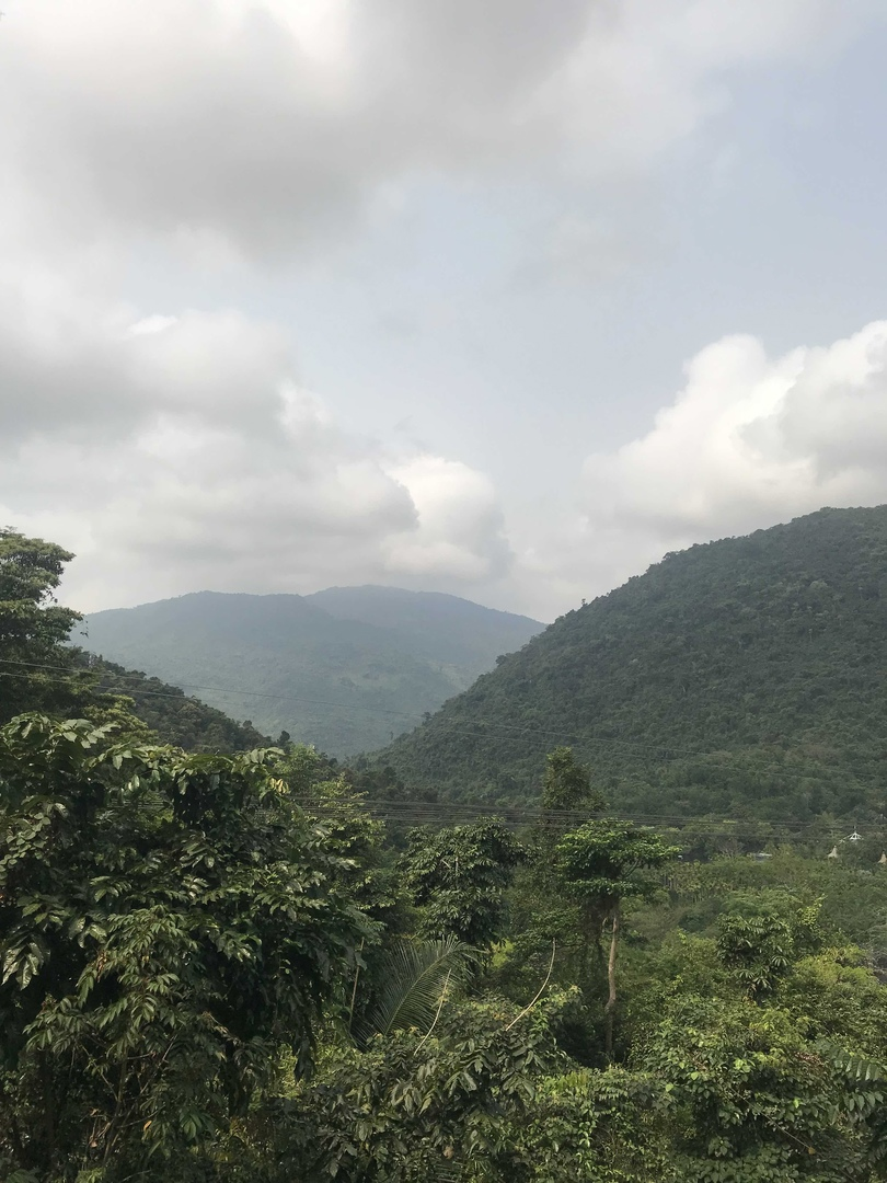 Жди меня, Китай!