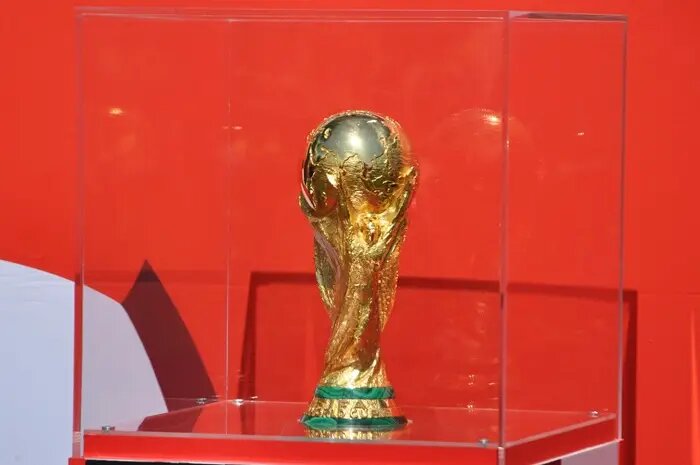  Кубок мира по футболу - самый желанный трофей для любого игрока   © Интерфакс. Григорий Колпаков