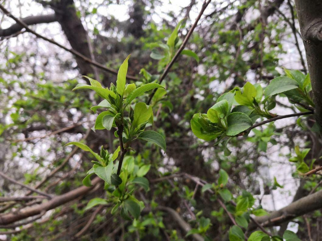 Фото: ИА "Тюменская линия"