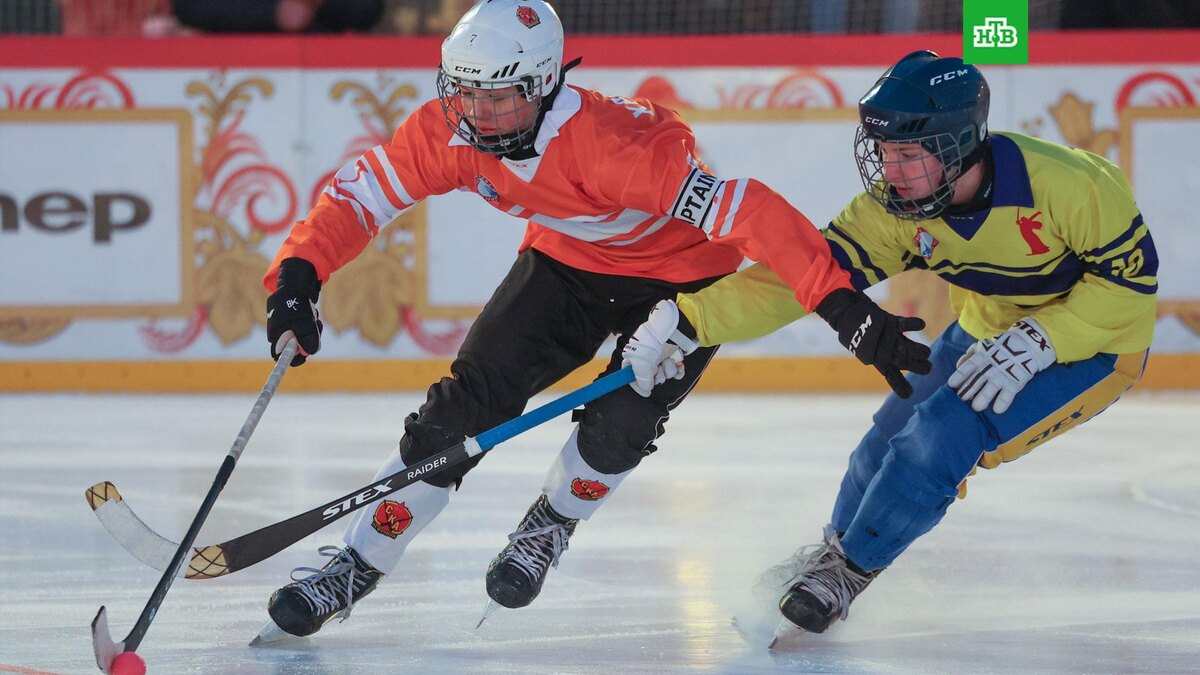    Фото: Федерация хоккея с мячом Москвы