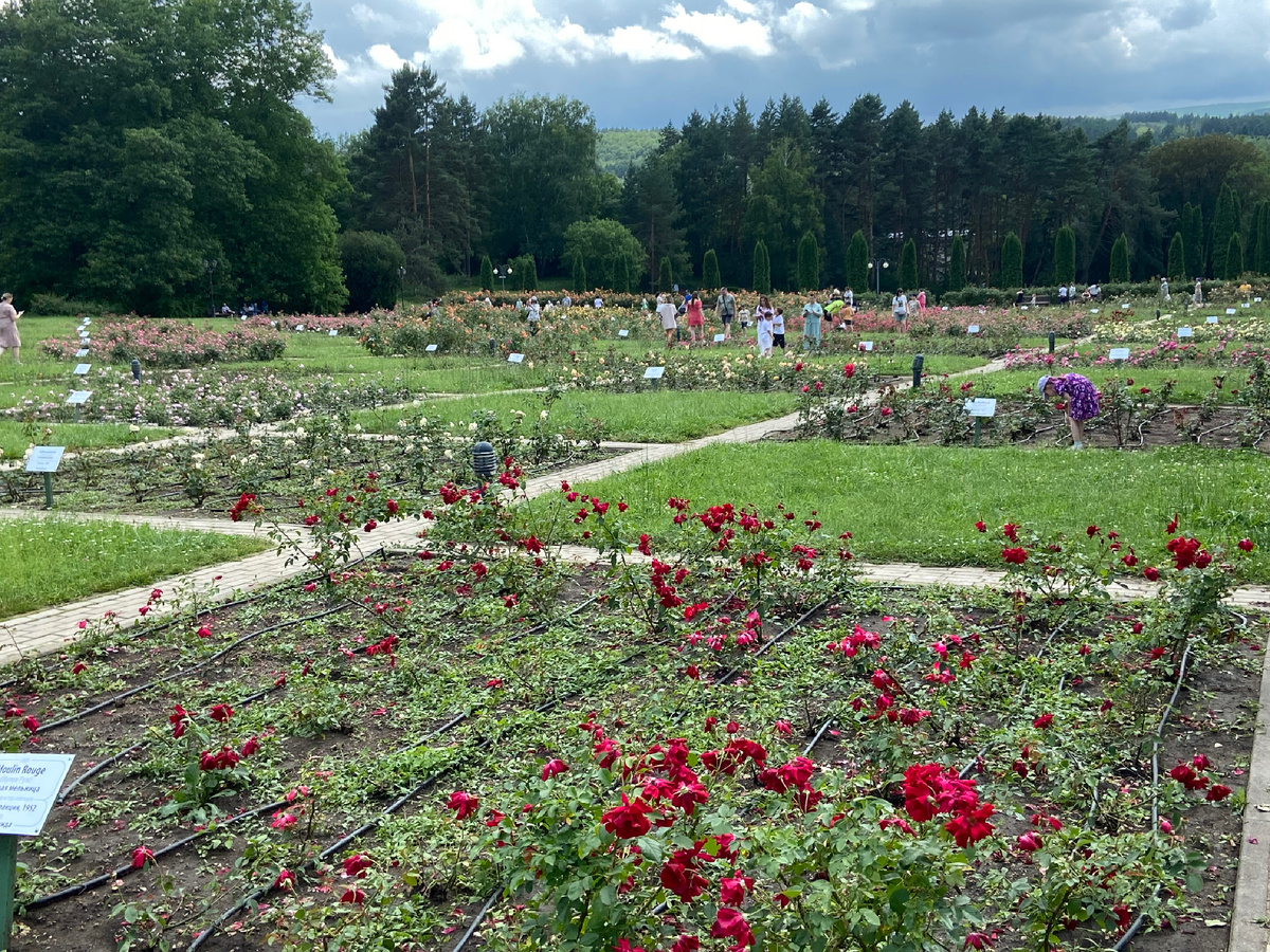 Долина роз в Кисловодском национальном парке