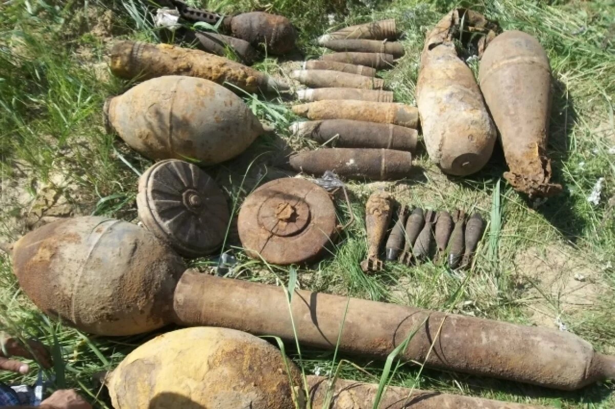    Волонтеры в Ленобласти вместо ребенка нашли бомбы времен ВОВ