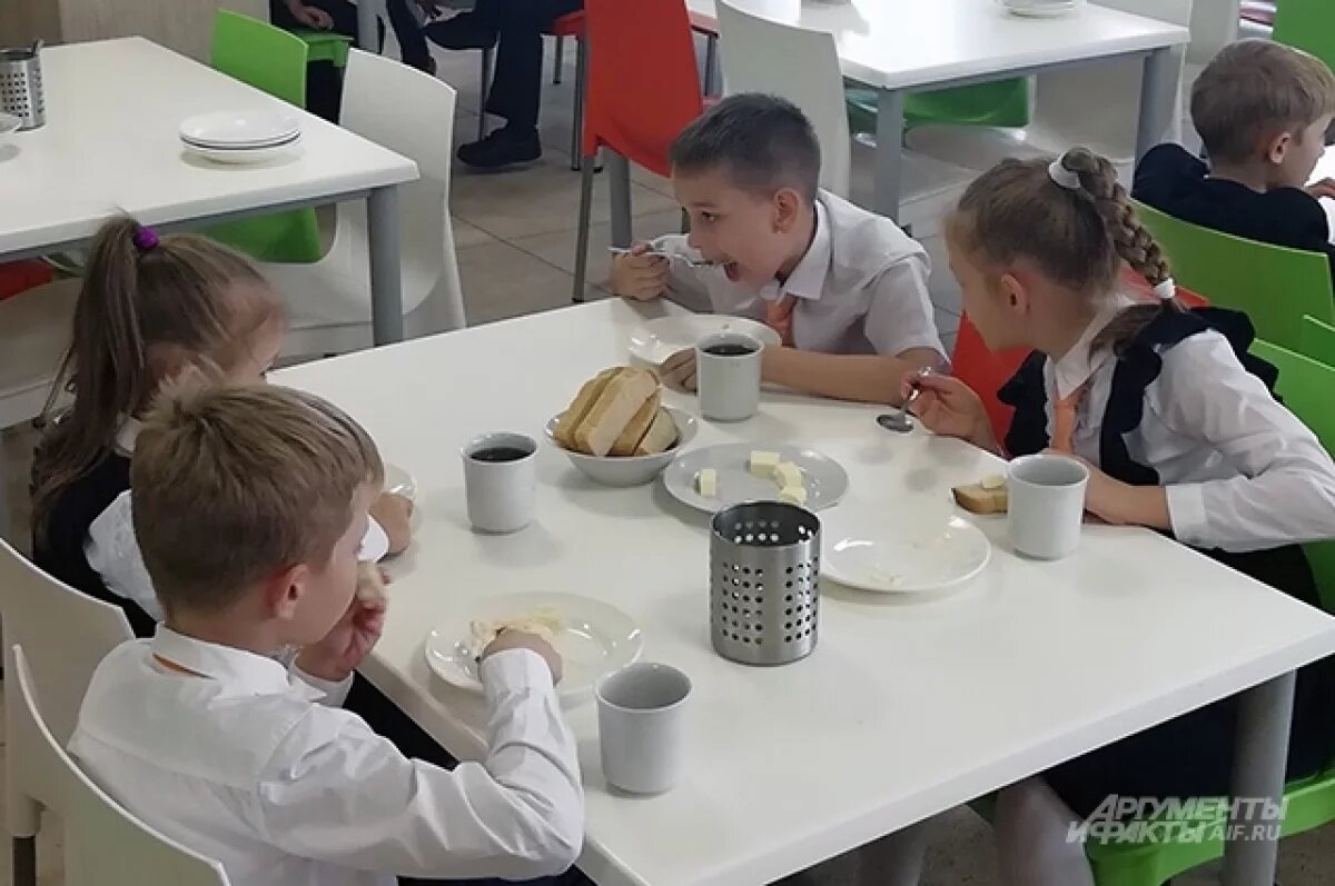    Нелегального поставщика школьного питания выявили в Свердловской области