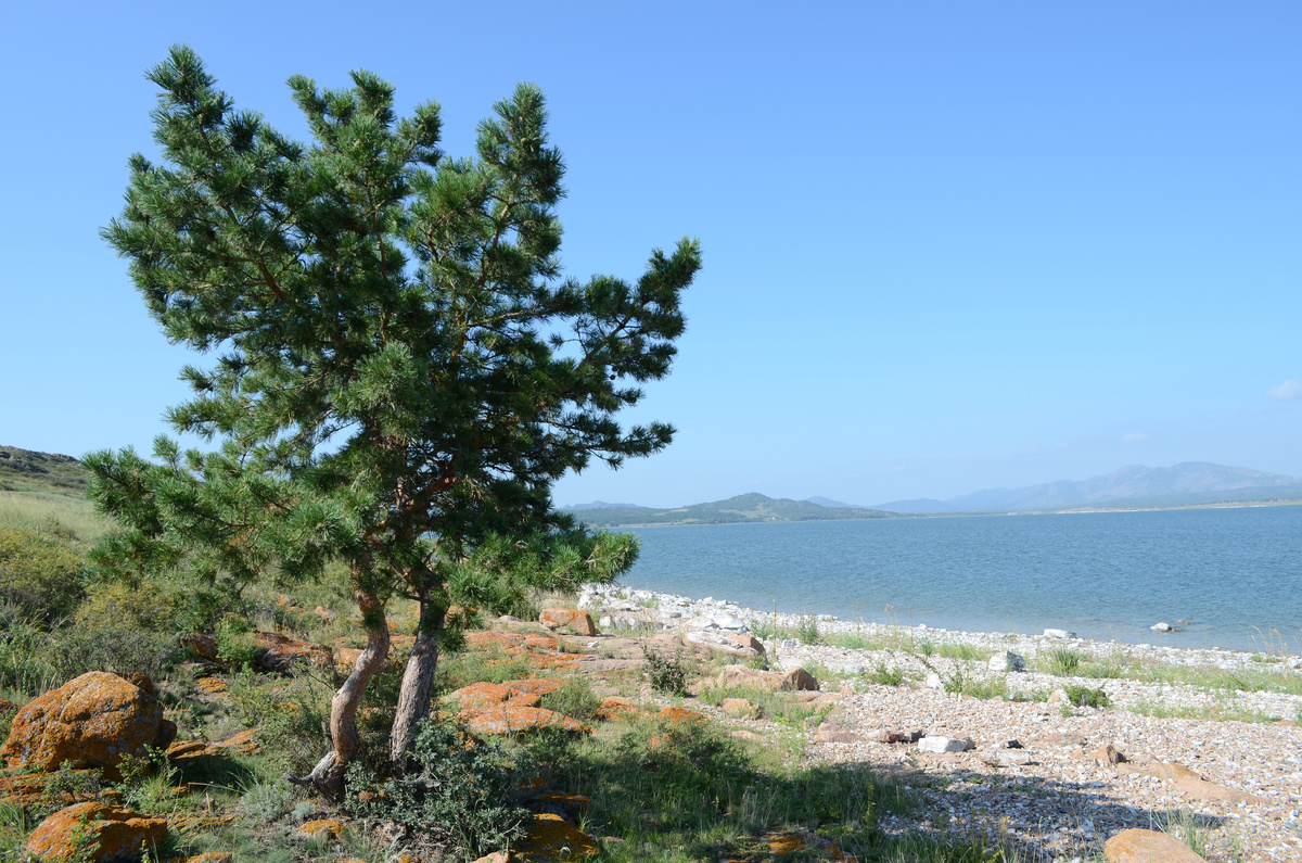 Озеро. Фото Татьяны Горбуновой, 2013