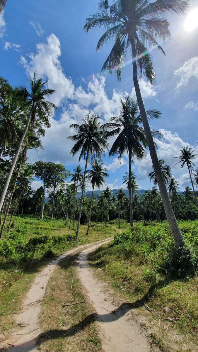 На сегодня наиболее освоены север и запад Самуи, юг же пока диковат!…