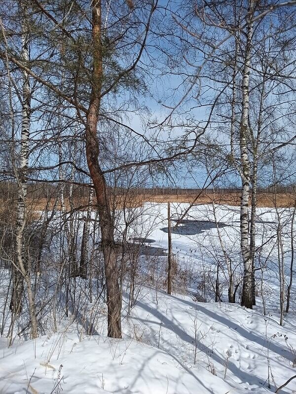 «Пышминские озерки». Фото: https://nashural.ru/