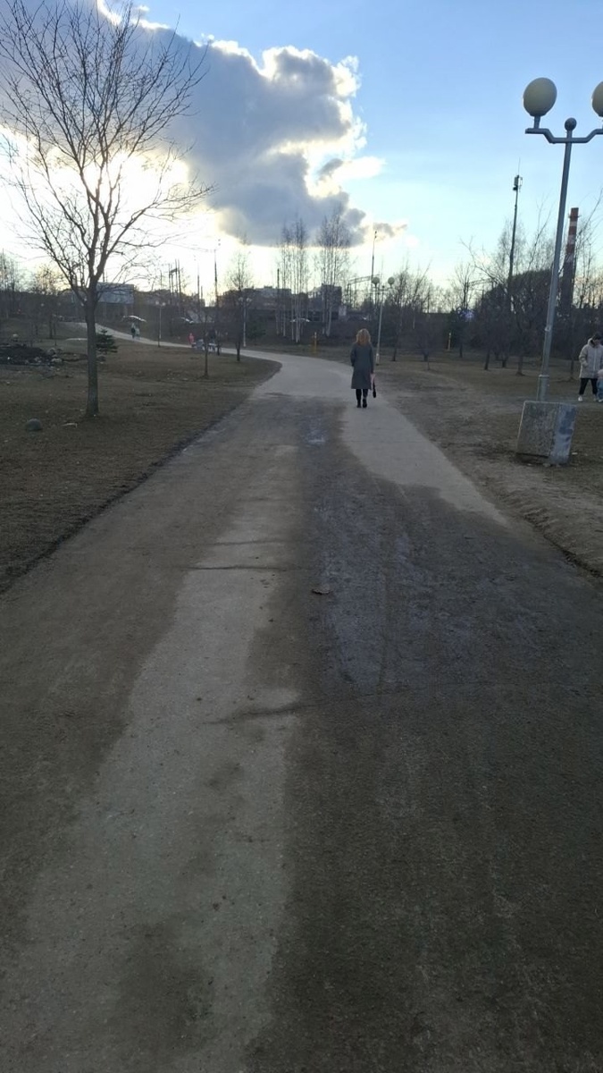    Горожане оценили труд рабочих, очистивших аллею в Петрозаводске"Подслушано в ПТЗ|Петрозаводск" / VK