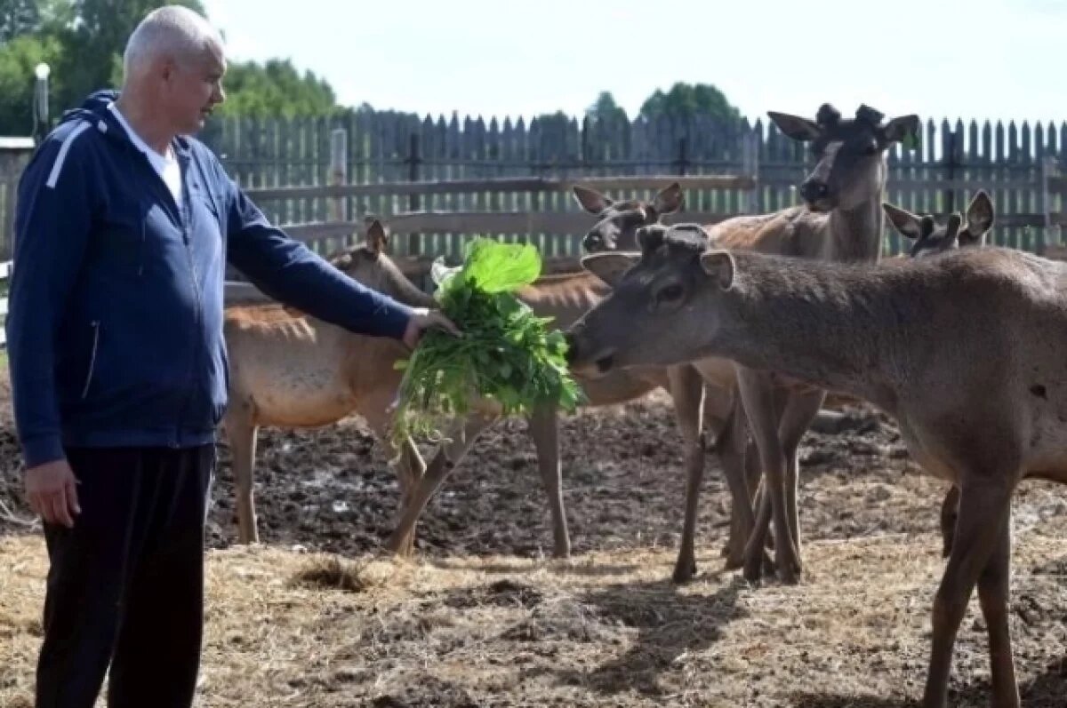    Сельский туризм даёт возможность горожанам почувствовать себя фермерами.