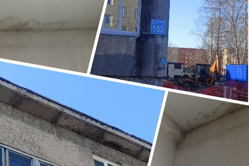    Фото: Прецедент