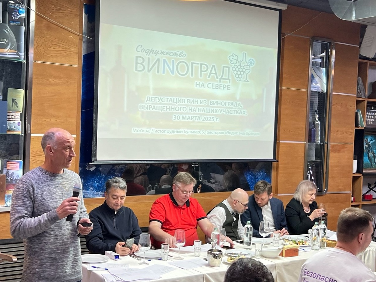 Слева на право. Игорь Сердюк, Денис Руденко, Сергей Александров, Антон Степащенко, Маргарита Панкратова.