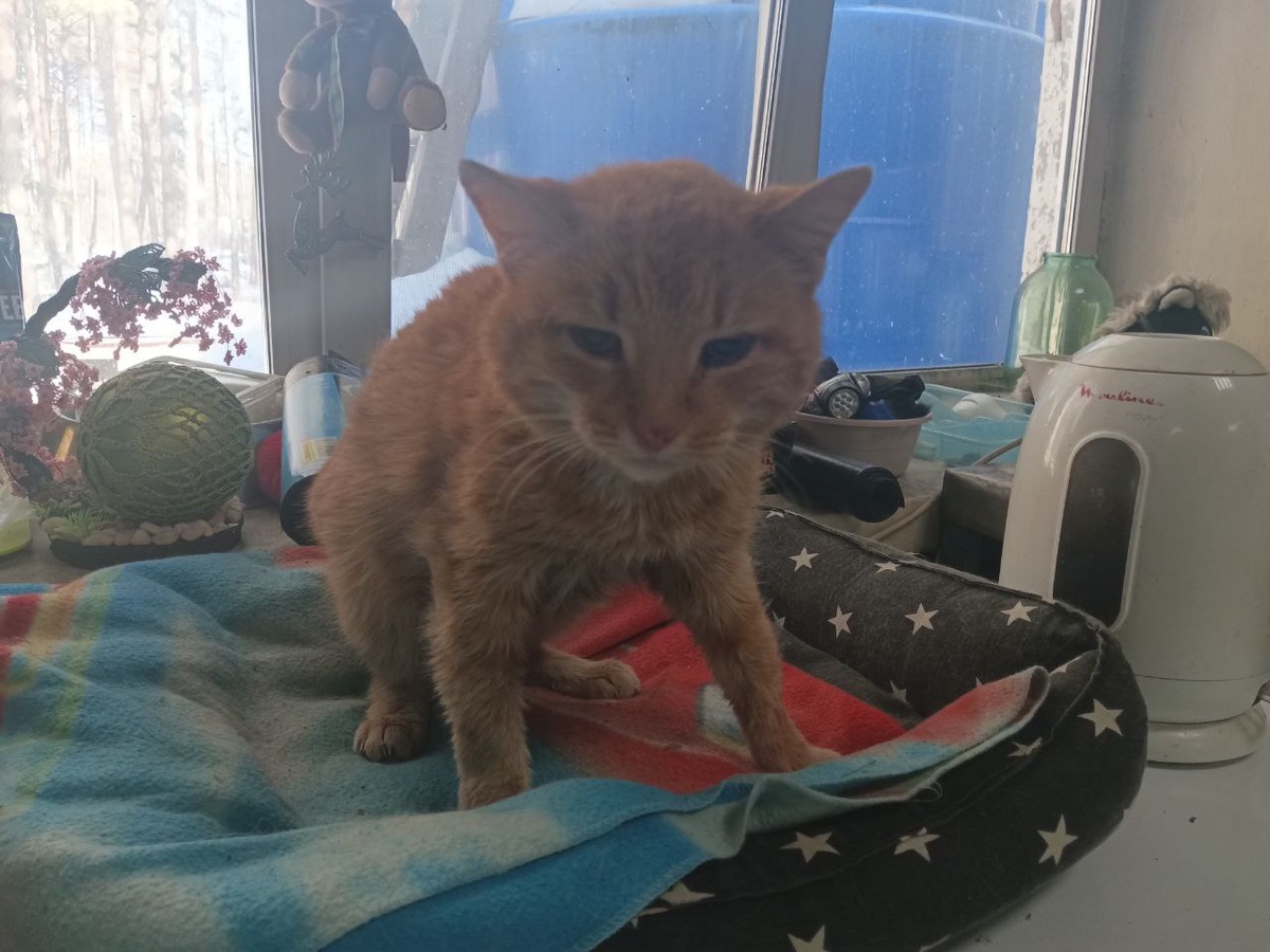 Ему нравится быть в центре внимания 